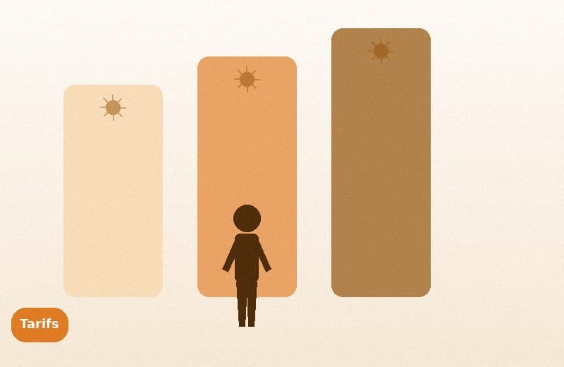 Standard, Express, Priority : quel niveau de service choisir ?